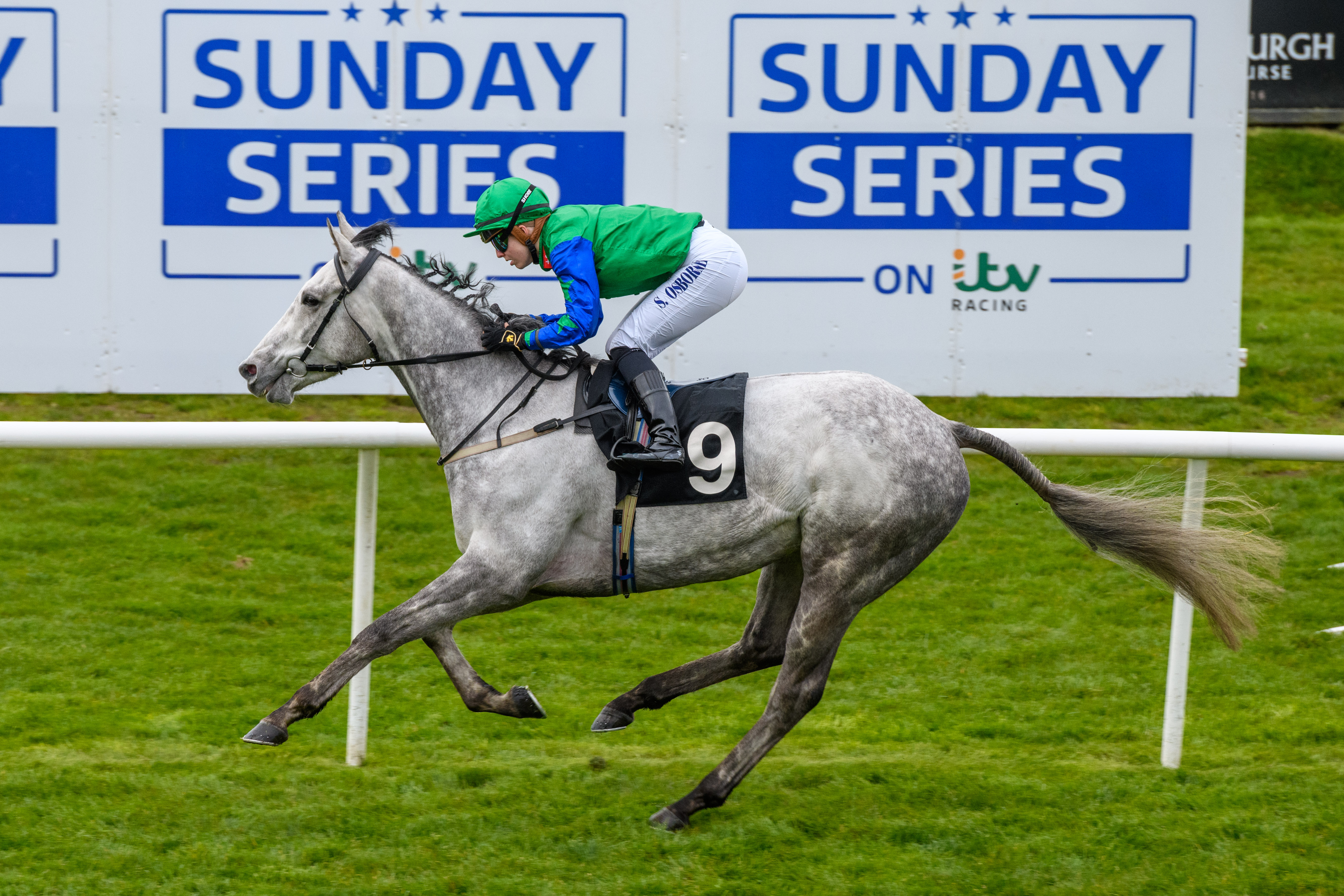 Kelpie Grey winning at the Sky Bet Sunday Series ridden by Saffie Osbourne