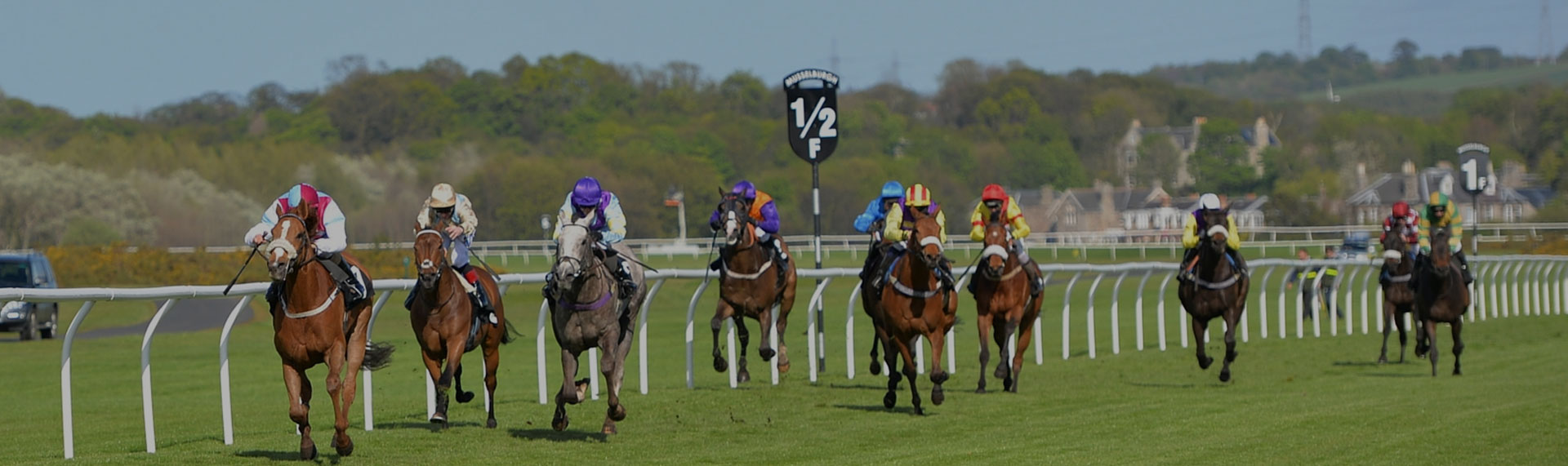 Grand National Blog Post